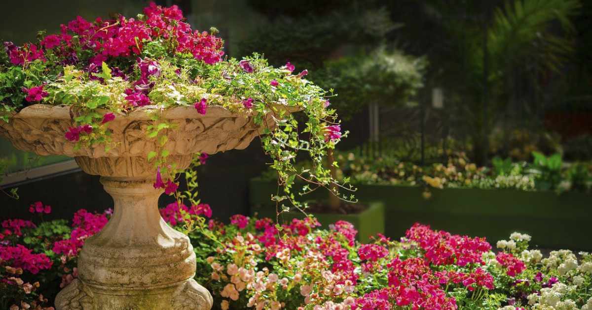 Finding Beautiful Images / Zoe j Frost / Web Designer